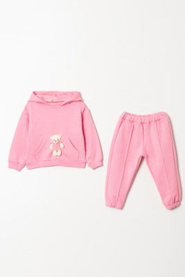 Wholesale Girls Printed Tracsuit Set 2-5Y Tuffy 1099-01097 Pink