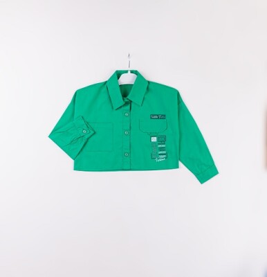 Wholesale Girls Shirts 7-10Y Büşra Bebe 1016-24101 Зелёный 