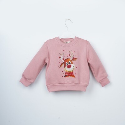 Wholesale Girls Sweatshirt 3-6Y Büşra Bebe 1016-23254 - Büşra Bebe