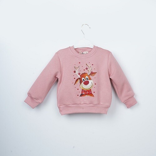 Wholesale Girls Sweatshirt 3-6Y Büşra Bebe 1016-23254 - 5