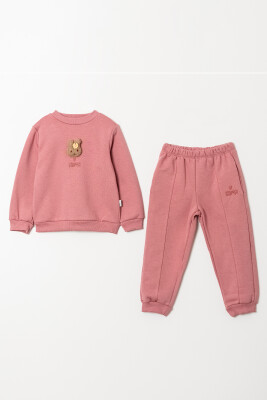 Wholesale Girl's Teddy Bear Detailed Tracksuit Set 2-5Y Tuffy 1099-01096 Dusty Rose