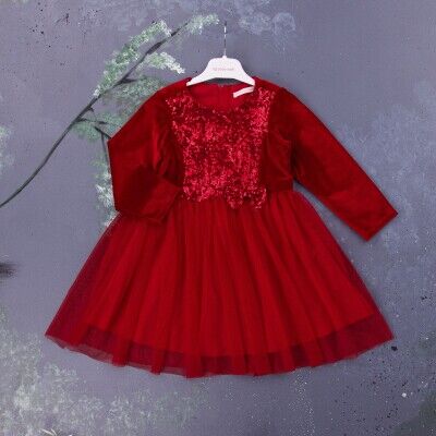 Wholesale Girls Velvet Dress 2-5Y BabyRose 1002-3965 - BabyRose