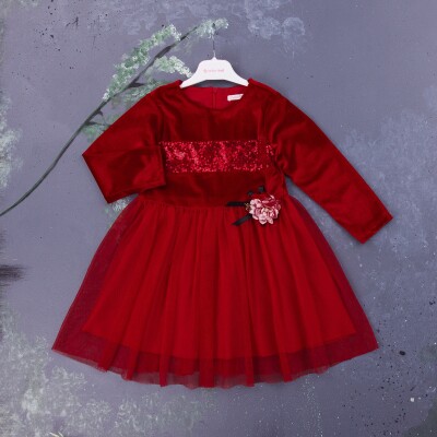 Wholesale Girls Velvet Dress 2-5Y BabyRose 1002-3966 - Babyrose