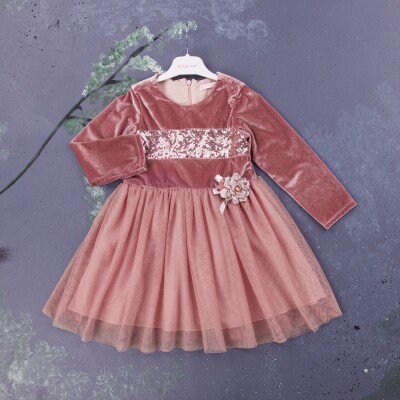 Wholesale Girls Velvet Dress 2-5Y BabyRose 1002-3966 - 2