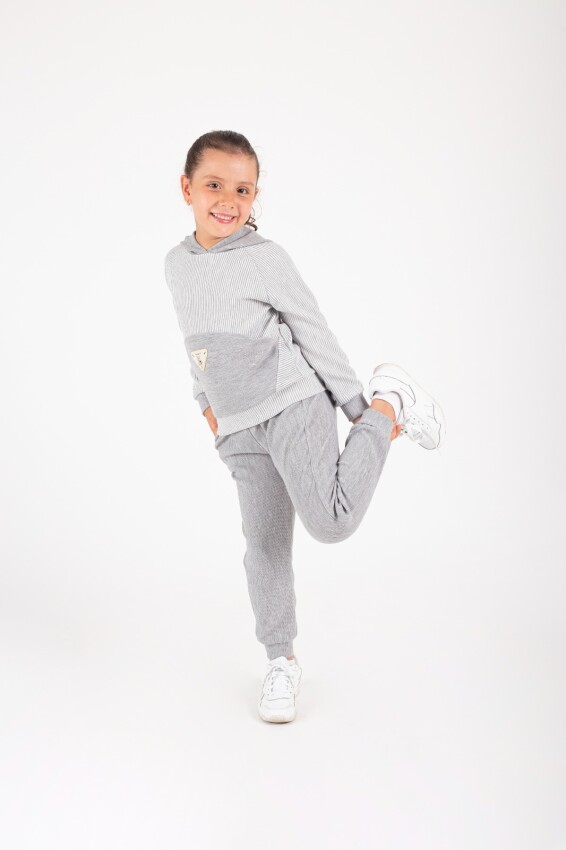 Wholesale Hooded Sweatshirt Set for Girls 4-8Y Pafim 2041-K24-8001 - 2