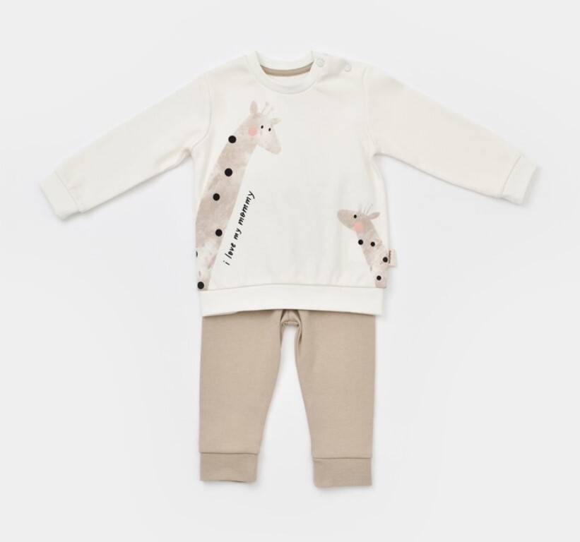 Wholesale Unisex Baby 2-Piece Sweatshirt and Pants Set 100% Organic Cotton 3-24M Baby Cosy 2022-CSY2014 - 1