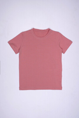 Wholesale Unisex Short Sleeve Basic T-shirt 1-4Y Interkidsy Basic 2027-2309 - Interkidsy Basic
